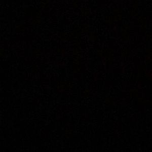 Meet your Posher, Max